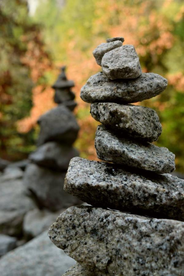 Yosemite Foothill Retreat - Private Guest #3 Hébergement de vacances